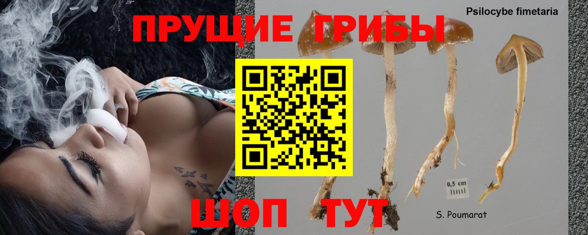 Псилоцибиновые грибы мухоморы  Вход с VPN  купить закладку  Артём 